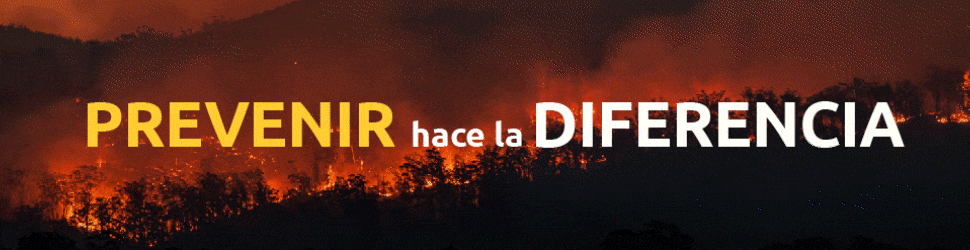 Banner publicitario